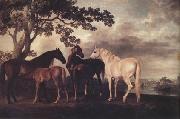 George Stubbs Mares and Foais in a Landscape (nn03) oil on canvas